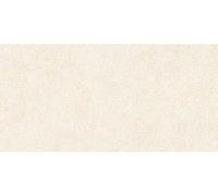 Керамогранит Alma Ceramica GFA114ADM04R Amsterdam 114x57 бежевый сатинированный под камень