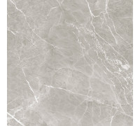 Керамогранит Alma Ceramica GFU04IMP07R Imperiale Marble 60x60 серый сахарный под камень