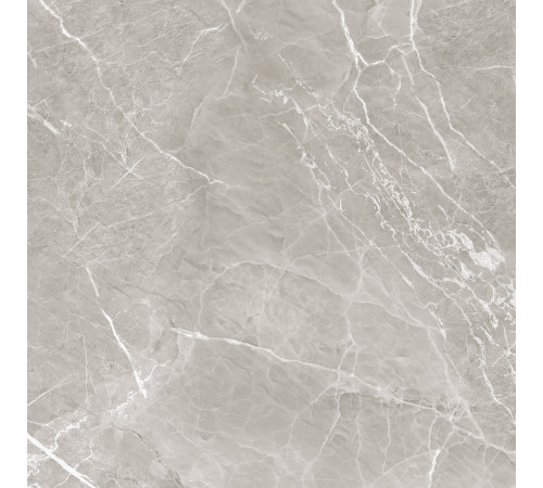 Керамогранит Alma Ceramica GFU04IMP07R Imperiale Marble 60x60 серый сахарный под камень