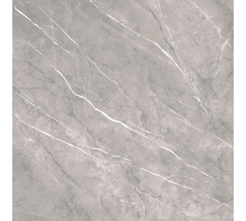 Керамогранит Alma Ceramica GFU04PLP70R Pulpis 60x60 серый матовый под камень