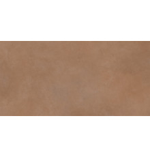 Керамогранит Alma Ceramica GFU60120SPR40R Spector 60x120 коричневый глазурованный матовый моноколор