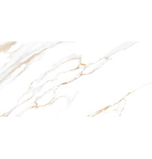 Плитка настенная Dublin TWU09DBL004 249x500x7.5 Глянцевая