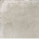 Керамогранит Граните Концепта Парете светлый 60х60 SR