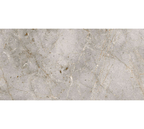 Керамогранит Граните Бардильо Классик 60х120 SR