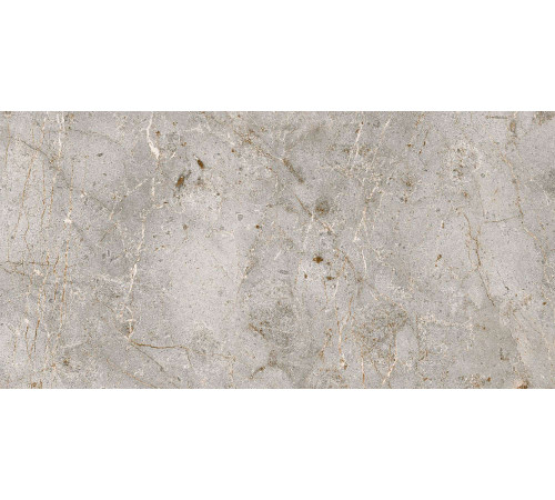 Керамогранит Граните Бардильо Классик 60х120 SR