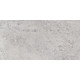 Керамогранит Граните Доломити Монте птерно Светлый 60х120 LLR