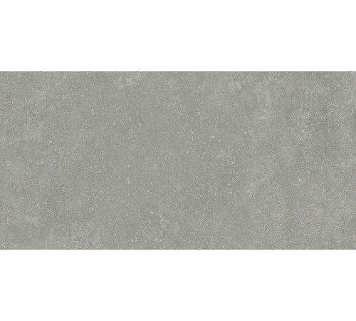 Керамогранит Граните Глория серый 60х120 SR