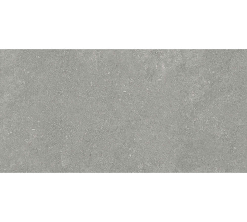 Керамогранит Граните Глория серый 60х120 SR