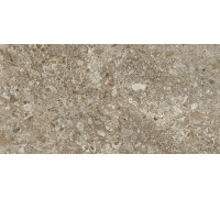 Керамогранит Граните Лунар коричневый 60х120 LLR