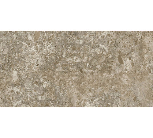 Керамогранит Граните Лунар коричневый 60х120 LLR