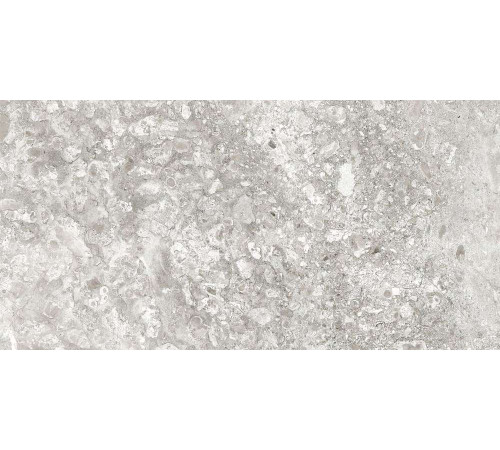 Керамогранит Граните Лунар светло-серый 60х120 LLR