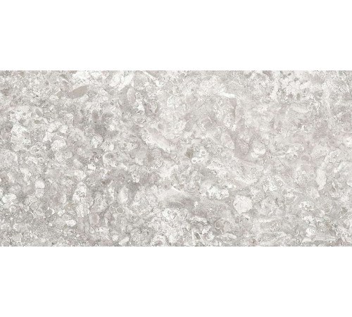 Керамогранит Граните Лунар светло-серый 60х120 LLR