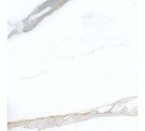 Керамогранит Граните Паллисандро Классик 60х60 MR