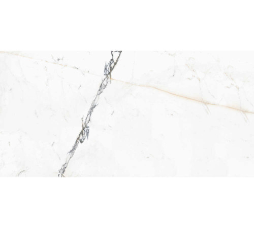 Керамогранит Граните Паллисандро Оро 60х120 SR