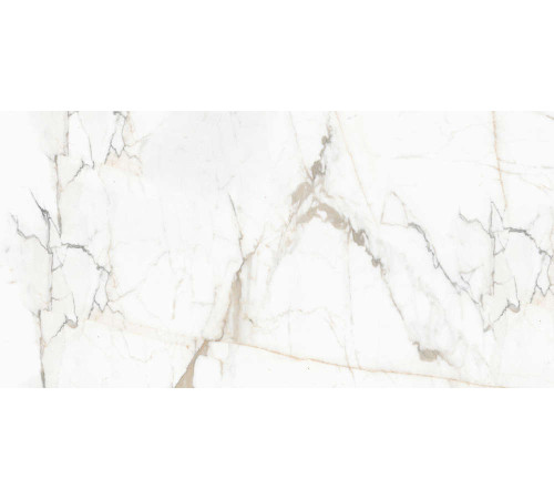 Керамогранит Граните Паллисандро Оро 60х120 LLR