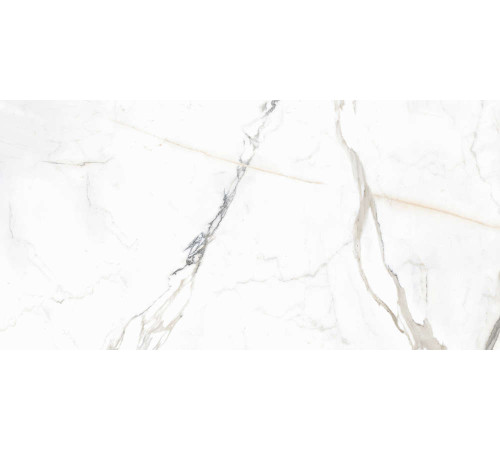 Керамогранит Граните Паллисандро Оро 60х120 LLR