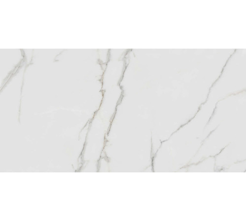 Керамогранит Граните Паллисандро Гриджио 60х120 MR