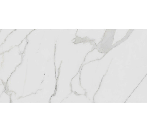 Керамогранит Граните Паллисандро Гриджио 60х120 MR