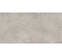 Керамогранит Граните Перла серый 60х120 LLR