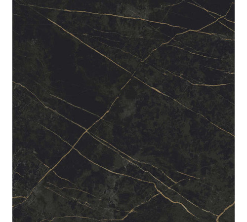 Керамогранит Граните Сандра черно-оливковый 60х60 MR