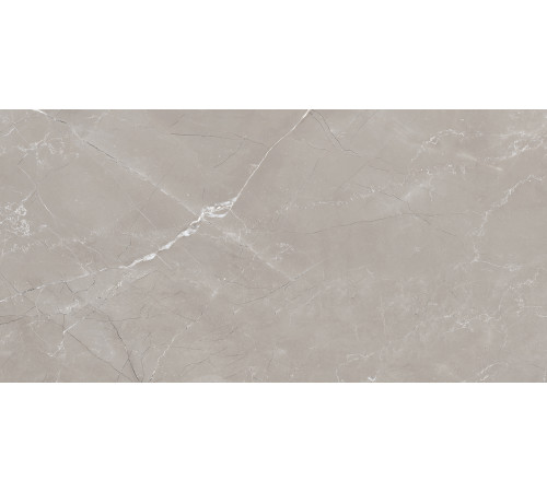 Vitrum Grigio Керамогранит серый 60x120 полированный