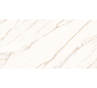 Astro Ivory Керамогранит светло-бежевый SG50004820R 59,5х119,1 матовый