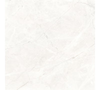 Connect Pearl Керамогранит светло-серый SG624920R 59,5х59,5 матовый