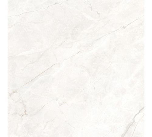 Connect Pearl Керамогранит светло-серый SG624920R 59,5х59,5 матовый