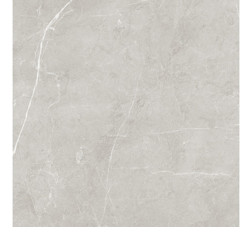 Scandy Керамогранит светло-серый обрезной SG645120R 59,5х59,5