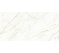 Europa Gold l Керамогранит белый 60x120 матовый Карвинг