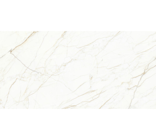 Europa Gold l Керамогранит белый 60x120 Матовый Карвинг