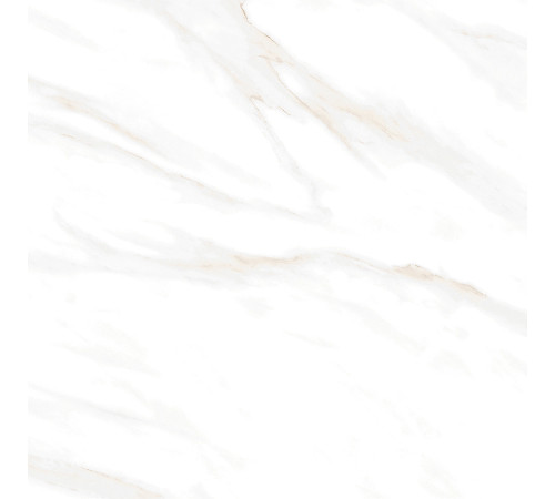 Calacatta Clarity Gold Керамогранит белый 60х60 Матовый
