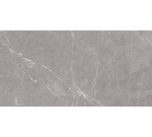Pietra Grey Керамогранит серый 60х120 матовый карвинг