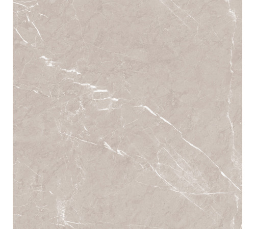 Pietra Grigio Керамогранит светло-коричневый 60х60 матовый карвинг