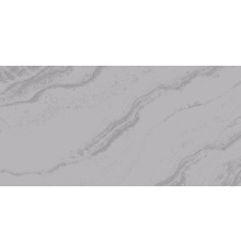 Solo Argento Керамогранит серый LP6012G0571R 59,5х119,1 глянцевые чернила