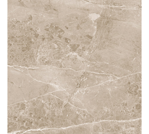 Obsidian Taupe Керамогранит 60х60 Матовый