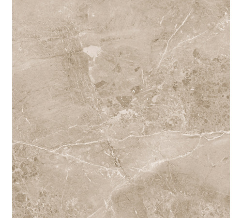 Obsidian Taupe Керамогранит 60х60 Матовый