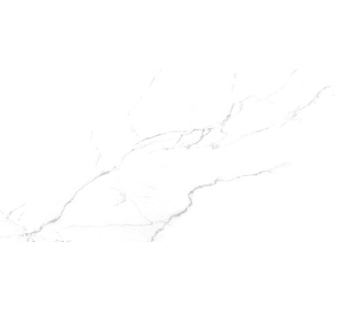 Discovery Blanco Керамогранит белый SG50002420R 59,5х119,1 матовый