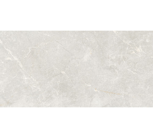 Rocky Bianco PRO Керамогранит светло-серый 60х120 матовый R10GR STR CB