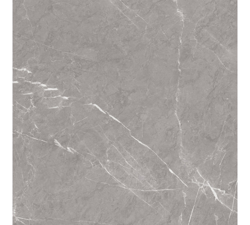 Pietra Grey Керамогранит серый 60х60 матовый карвинг