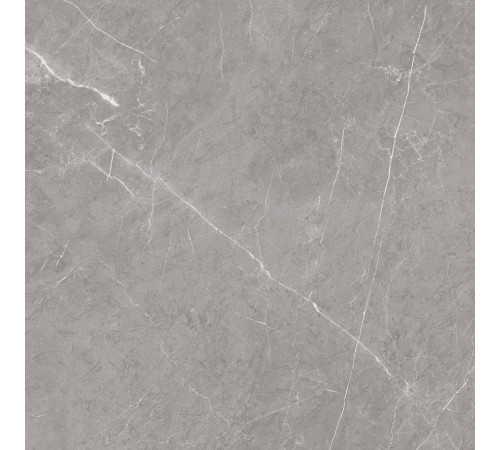 Pietra Grey Керамогранит серый 60х60 матовый карвинг