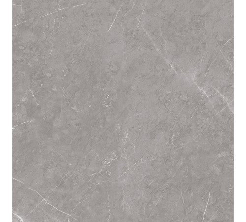 Pietra Grey Керамогранит серый 60х60 матовый карвинг