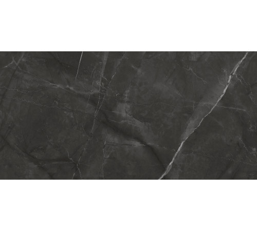 Timeless Grafite Керамогранит графит LP6012G0031R 59,5х119,1 матовый карвинг