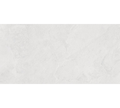 Porter Silver PRO Керамогранит светло-серый LP6012G0171R 59,5х119,1 матовый карвинг R10 STR