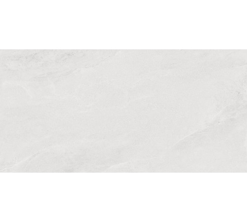 Porter Silver PRO Керамогранит светло-серый LP6012G0171R 59,5х119,1 матовый карвинг R10 STR