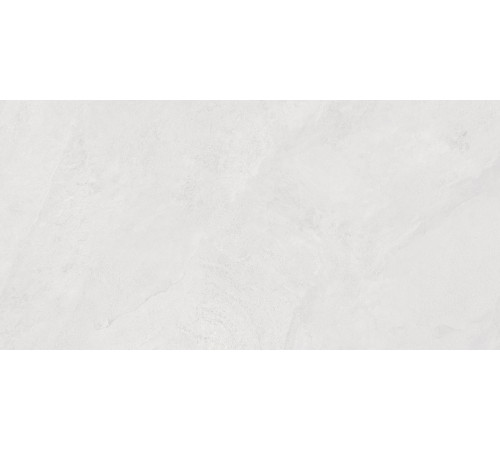 Porter Silver PRO Керамогранит светло-серый LP6012G0171R 59,5х119,1 матовый карвинг R10 STR