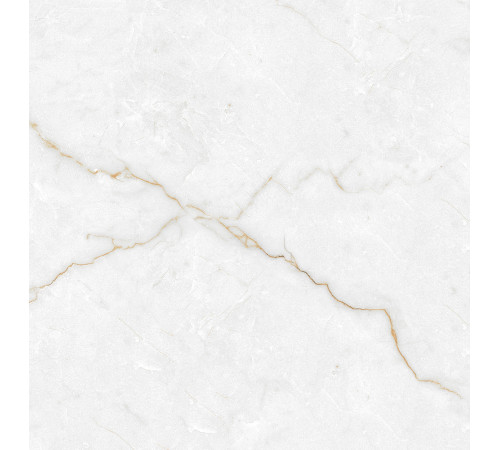 Torso Gold Керамогранит 60х60 Полированный