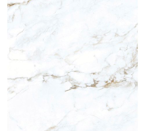 Statuario Martin Керамогранит 60х60 Матовый