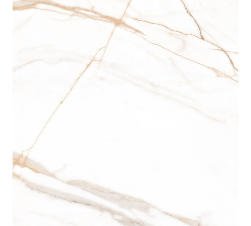 Calacatta Goddes Gold Керамогранит белый 60х60 Полированный