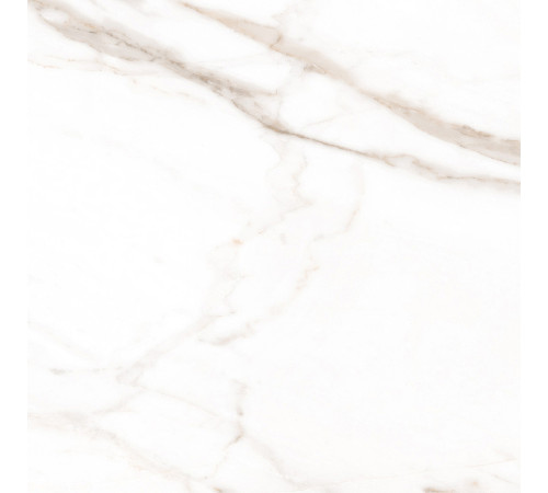 Calacatta Goddes Gold Керамогранит белый 60х60 Полированный